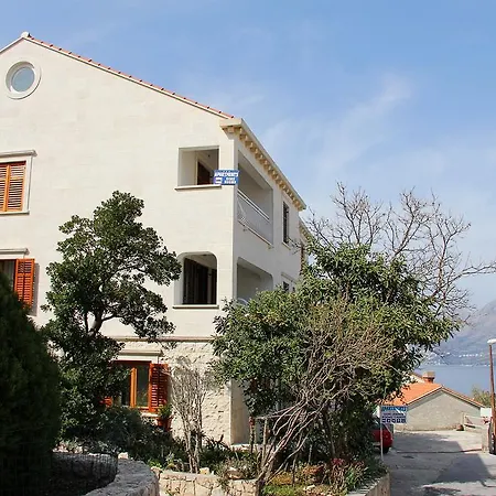 Zrnic Apartman *